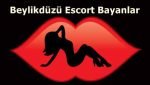 escort bayan